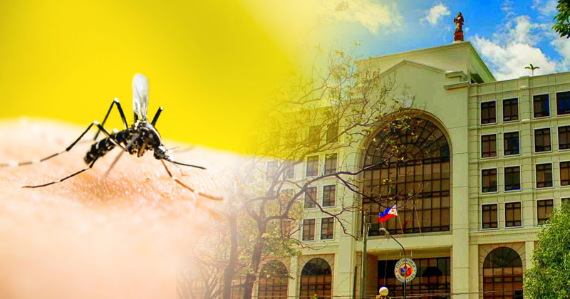 Iloilo City under state of calamity due to dengue