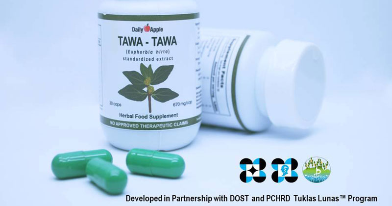 FDA approves first Tawa-tawa capsule supplement versus dengue