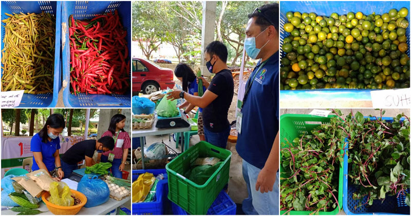 Kadiwa on Wheels of DA will bring fruits and veggies to Iloilo City residents.