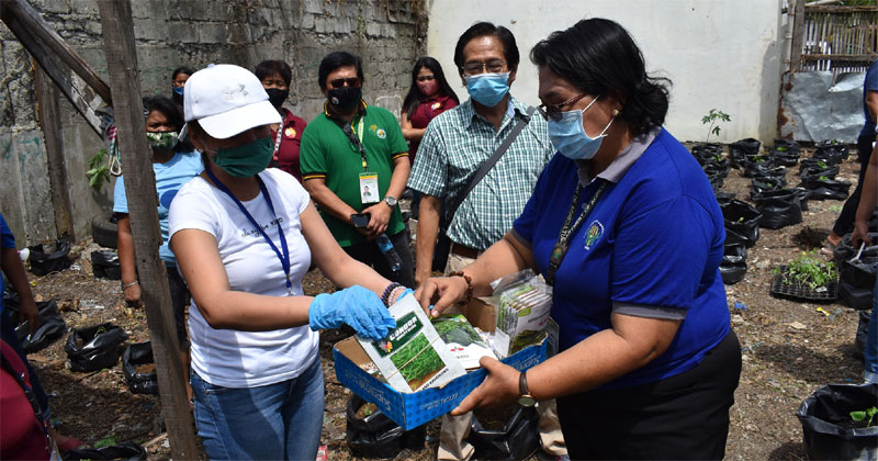 DA distributing vegetable seeds for urban gardening.