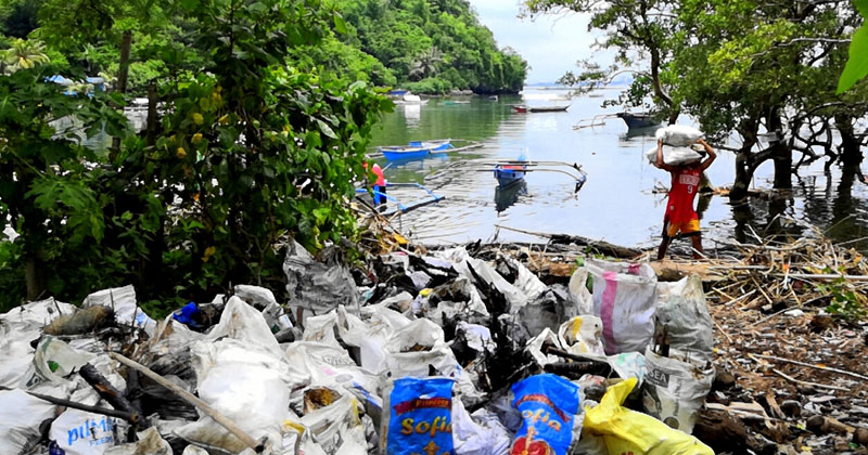 Volunteers collecting contaminated debris from oil spill which reached Guimaras shores.