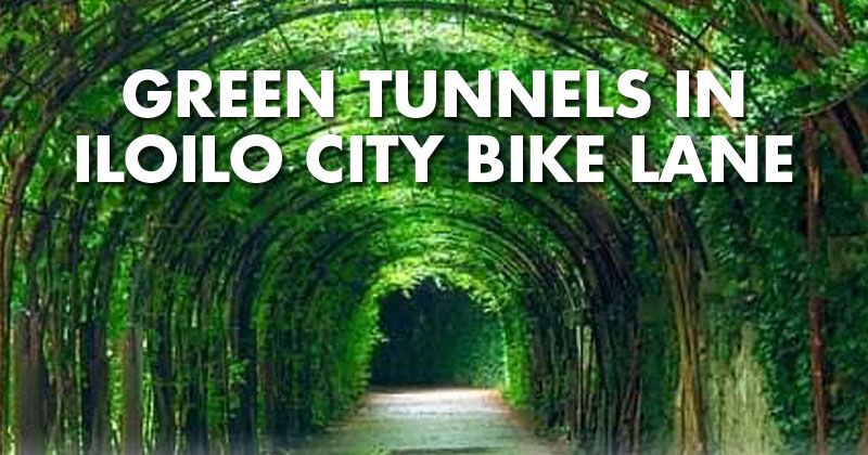 Green Tunnel Project in Iloilo City bike lanes.