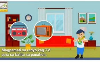 Iloilo City online learning on disaster preparedness.