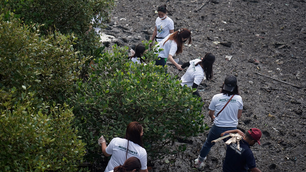 MORE Power personnel joins mangrove planting activity in Iloilo River.