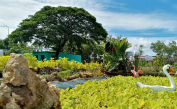 Iloilo City Garden of Love with scenic pond.