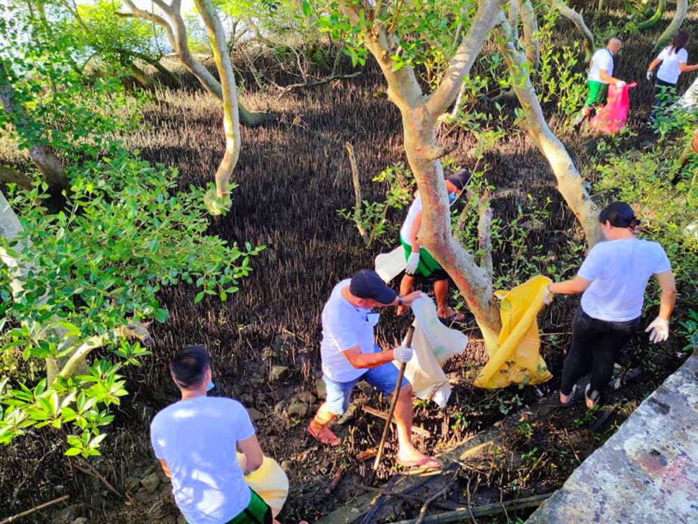 MORE Power personnel had a massive cleanup drive in mangrove areas of Iloilo Esplanade.