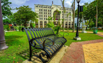 Benches at plaza libertad