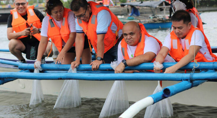MORE Power releases over 1,000 fingerlings to Iloilo River.