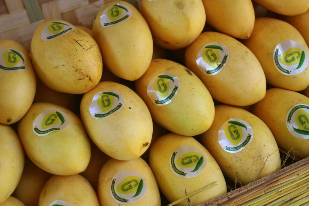 Guimaras mangoes, dubbed as the sweetest in the country, with geographical indicator (GI) seal.