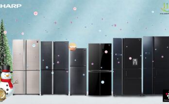 Best-Refrigerator-for-Holiday-Season Sharp