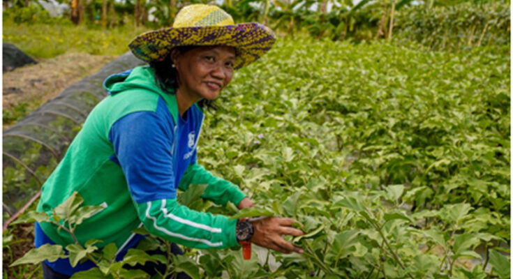 Iloilo City farmer Rita Soltis proudly shows her vibrantly green vegetable garden.