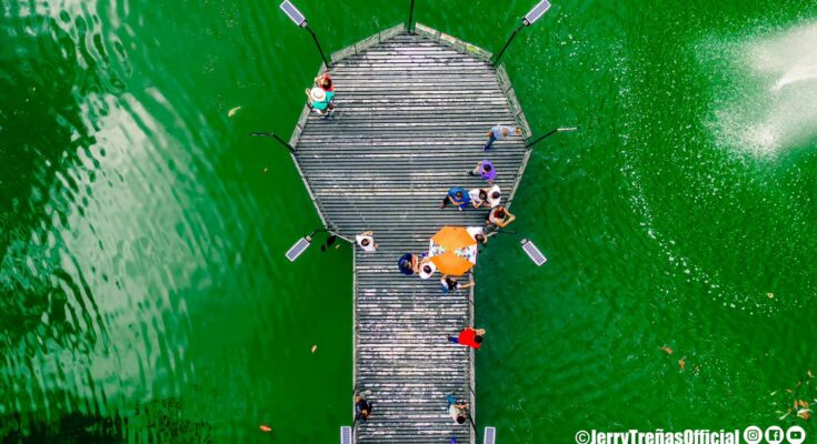 Koi Pond in Lapaz Plaza