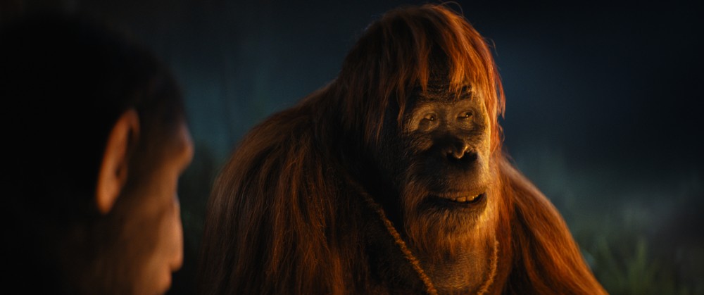 Raka (played by Peter Macon) in 20th Century Studios' KINGDOM OF THE PLANET OF THE APES. Photo courtesy of 20th Century Studios. © 2024 20th Century Studios. All Rights Reserved.