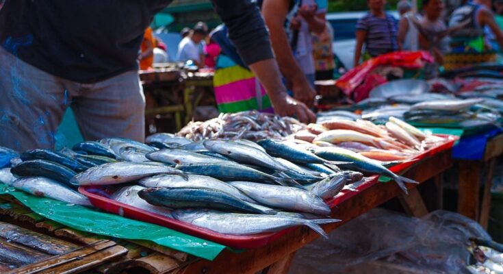 PHOTO CAPTION : These fresh seafoods offered at the Teminal and Central markets will soon be displayed in a more durable and hygienic stainless countertops, one of the key features of the new markets which is expected to re-open soon. (photo credit :Iloilo City LEEO)