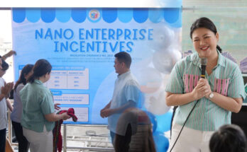 nano enterprise incentives ordinance