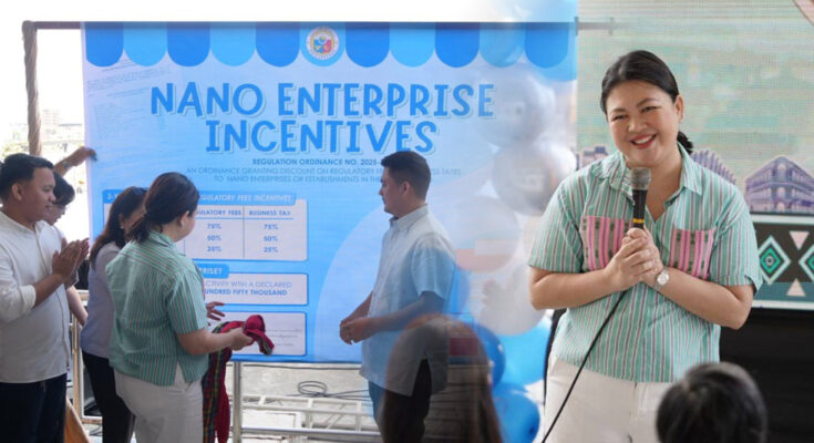 nano enterprise incentives ordinance