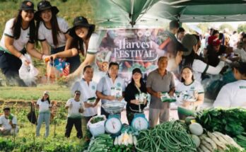 more power harvest festival