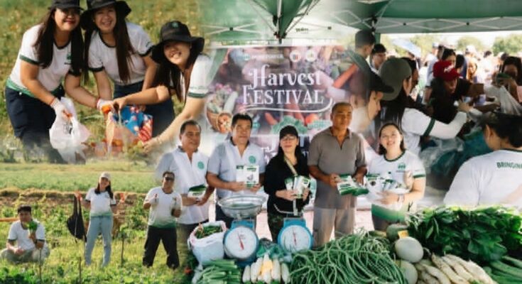 more power harvest festival