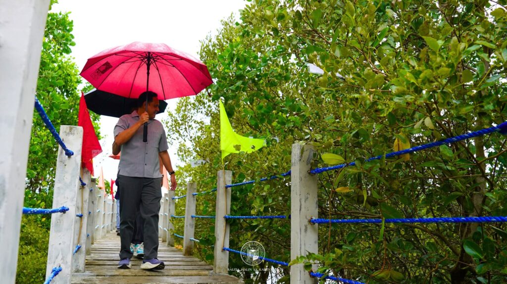 mangrove eco-park in leganes