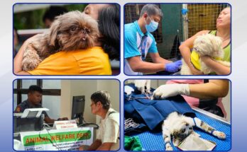 animal welfare
