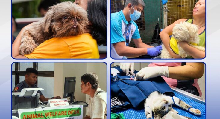 animal welfare