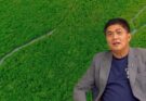 rommel duron on mangroves