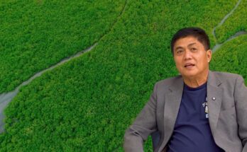 rommel duron on mangroves