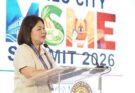 raisa msme summit