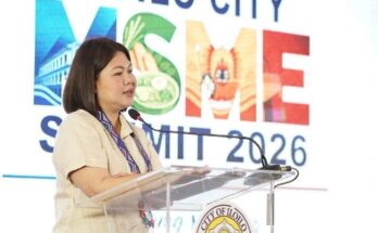 raisa msme summit