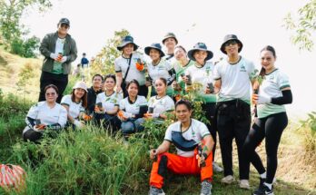 MORE Power tree planting Alimodian