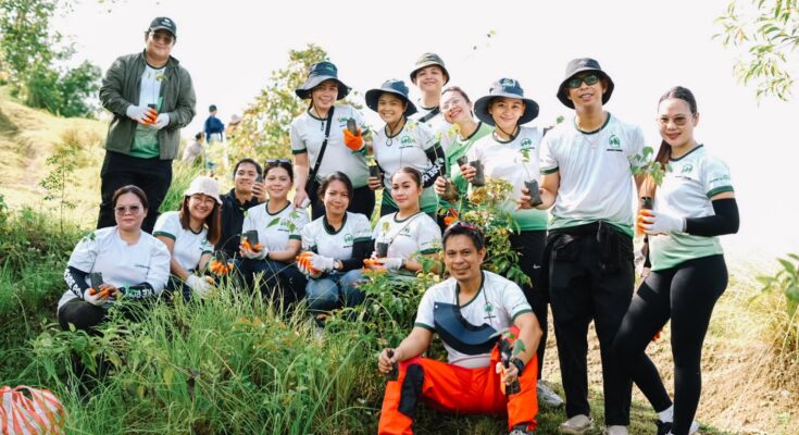 MORE Power tree planting Alimodian