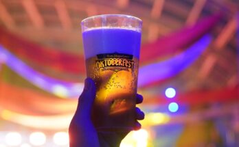 oktoberfest passi city